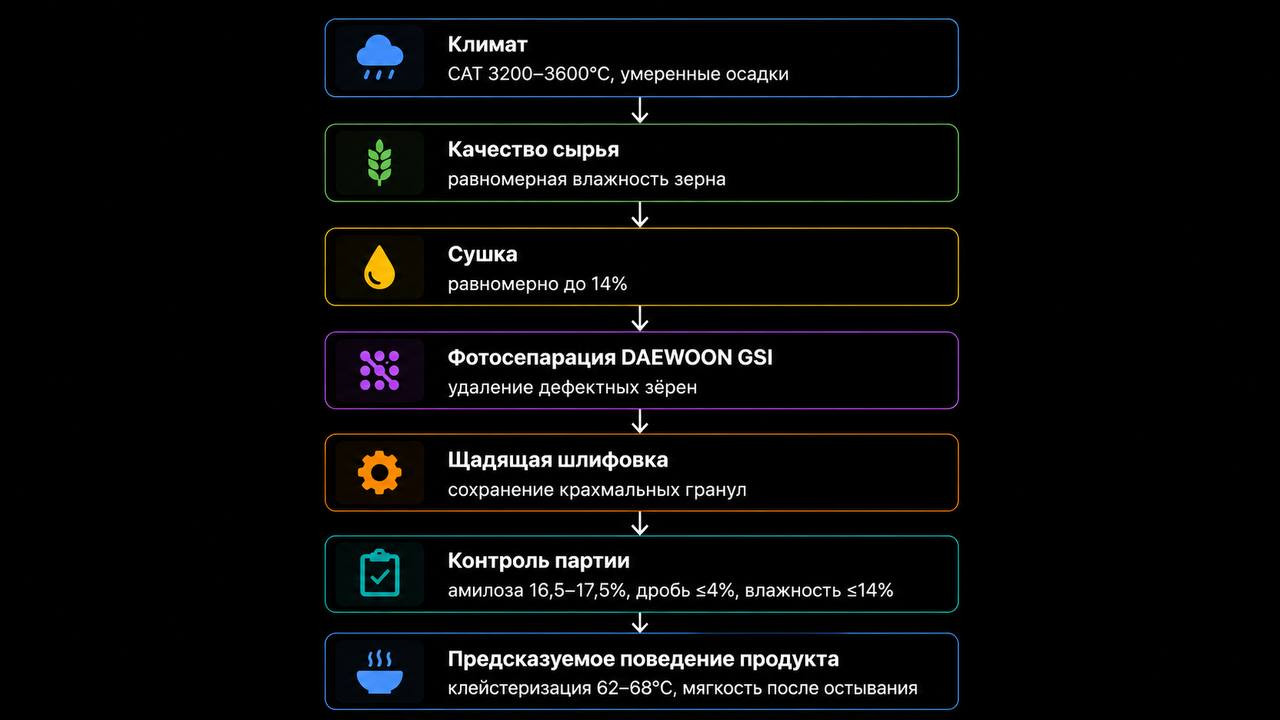 Rice‑Tech: как фотосепарация, щадящая шлифовка и биохимия крахмала определяют качество суши‑риса - 5